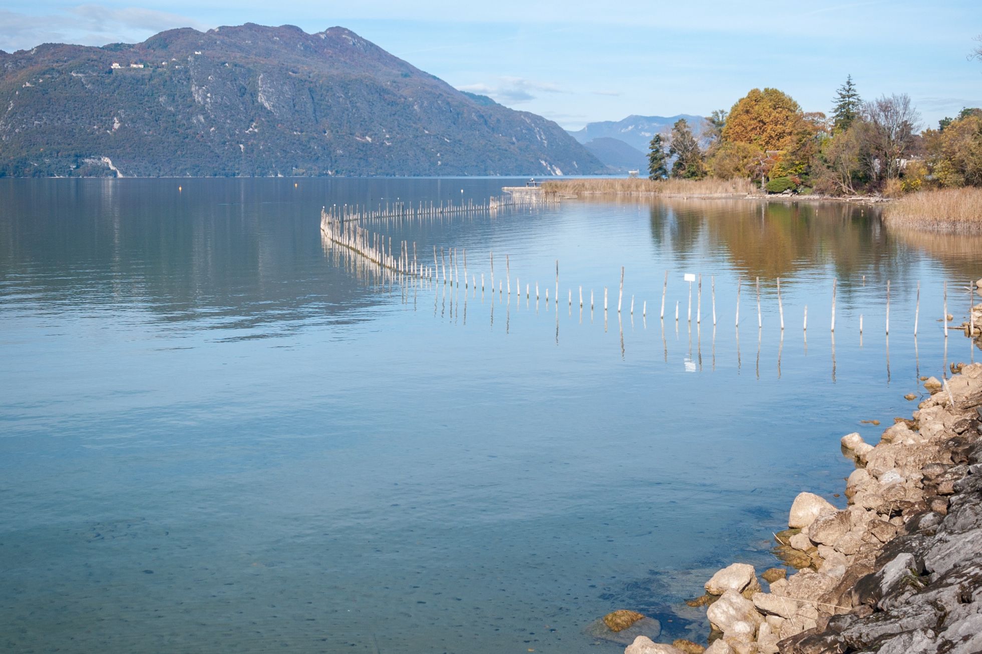 Lac du Bourget-projet immobilier Tsukue-Grésy sur Aix, Savoie